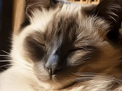 Yoga Nidra For Acceptance And Healing