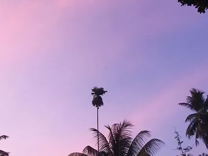 Yoga Nidra For Activating Chakra Awareness