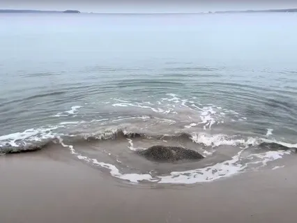 Yoga Nidra For After An Anxiety Attack