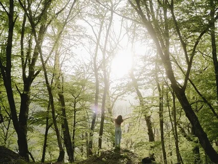 Yoga Nidra For An Afternoon Boost