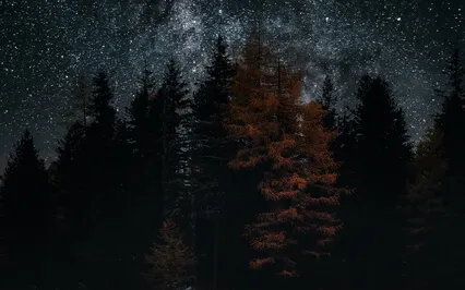 Yoga Nidra For Anger