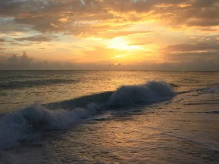 Yoga Nidra For Anxiety & Overwhelm: Feel Safe