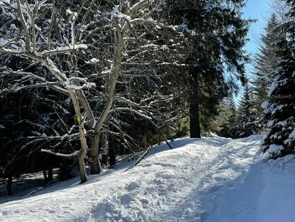 Yoga Nidra For Anxiety