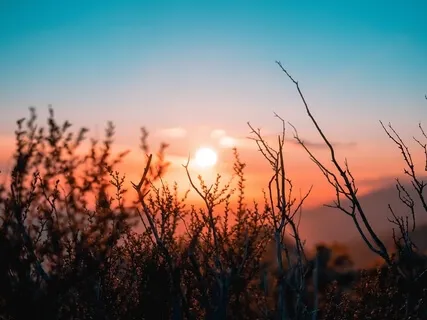 Yoga Nidra For Anxious Thoughts