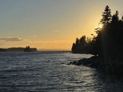 Yoga Nidra For Arthritis: Rest When It Hurts To Rest