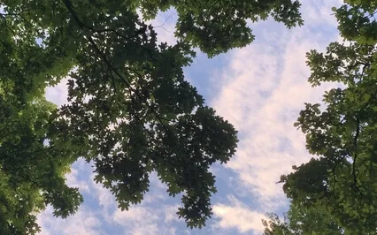 Yoga nidra för att släppa taget om spänningar