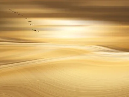 Yoga Nidra for Awareness & Balance