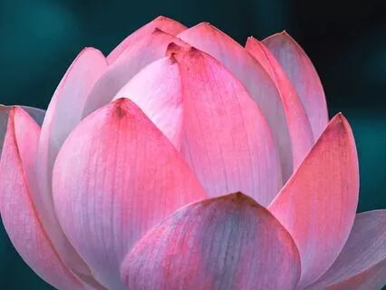 Yoga Nidra For Awareness And Stillness