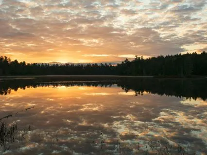 Yoga Nidra For Balance And Harmony