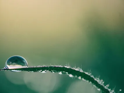 Yoga Nidra For Balance