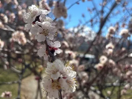 Yoga Nidra For Balancing Chakras