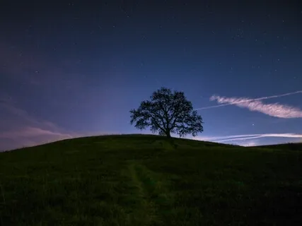 Yoga Nidra For Beginners