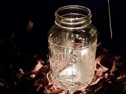 Yoga Nidra For Beginners