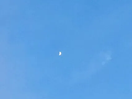 Yoga Nidra For Beginners