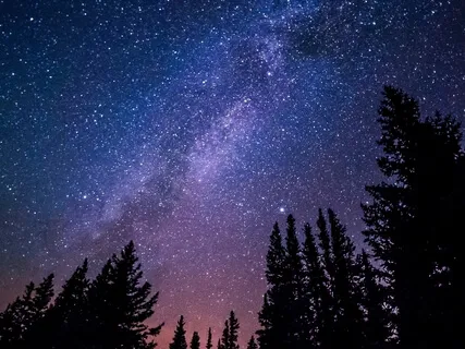 Yoga Nidra For Better Sleep