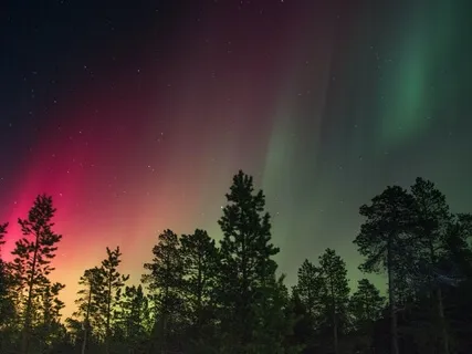 Yoga Nidra For Bliss