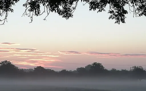 Yoga Nidra For Body, Mind & Heart