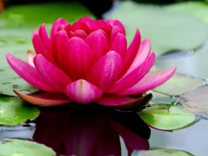 Yoga Nidra For Burnout & Nervous System Restoration