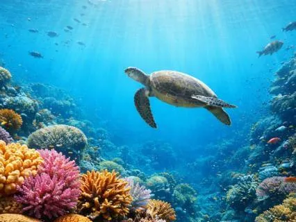 Yoga Nidra For Burnout Recovery | Deep Rest & Reset