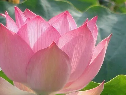 Yoga Nidra For Calm And Relaxation