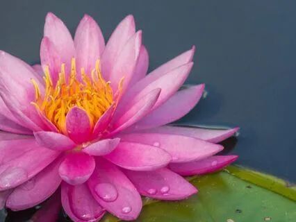 Yoga Nidra For Calming Hormones