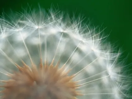 Yoga Nidra For Calming The Nervous System