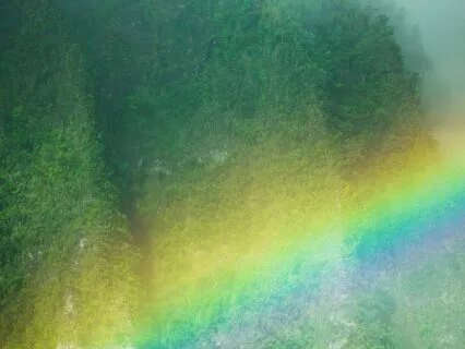 Yoga Nidra For Chakra Balancing