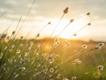 Yoga Nidra For Chemo And Long-Term Healing