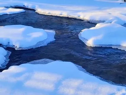 Yoga Nidra For Chronic Illness Flare-Up, Pain & Fatigue