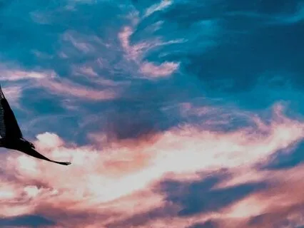 Yoga Nidra For Clarity: Invisible Eye Activation