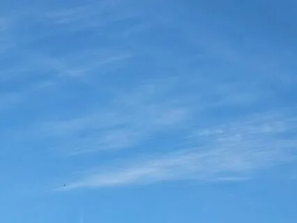 Yoga Nidra For Clarity (No Music)