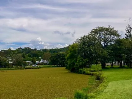 Yoga Nidra For Coming Home To Yourself