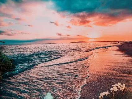 Yoga Nidra For Connection