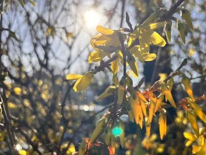 Yoga Nidra For Contentment And Ease