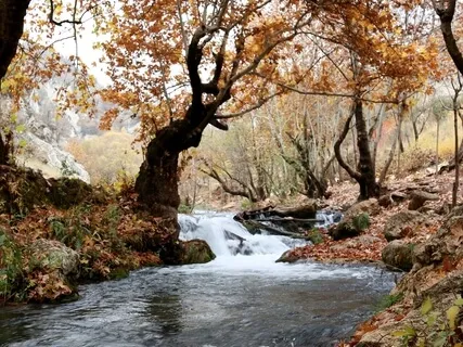 Yoga Nidra For Creative Potential