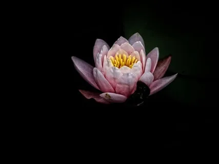 Yoga Nidra For Cultivating "I AM" Awareness