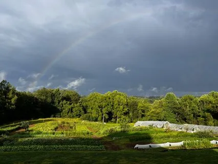 Yoga Nidra For Cultivating Self-Compassion