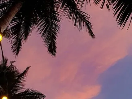 Yoga Nidra For Deep Diving Into The Unconscious Mind