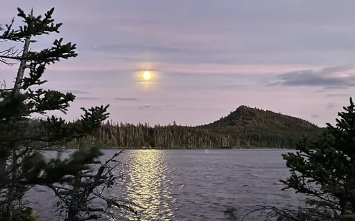 Yoga Nidra For Deep Healing & Relaxation (30 Minutes)