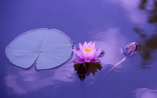 Yoga Nidra For Deep Healing Bliss