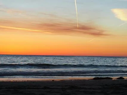 Yoga Nidra For Deep Healing Rest: Nervous System Massage