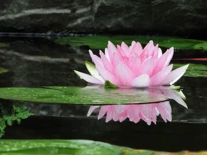 Yoga Nidra For Deep Peace And Calm