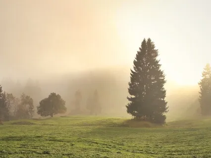 Yoga Nidra For Deep Peace & Healing (With Pink Noise)