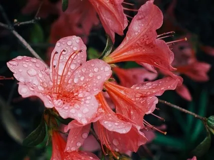 Yoga Nidra For Deep Postpartum Rest