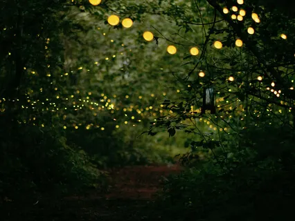 Yoga Nidra For Deep Relaxation