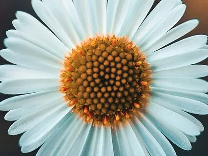 Yoga Nidra For Deep Relaxation