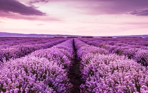 Yoga Nidra For Deep Relaxation