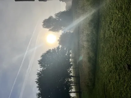 Yoga Nidra For Deep Relaxation And Letting Go Of Pain 