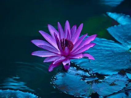 Yoga Nidra For Deep Relaxation And Self-Discovery (639 Hz)