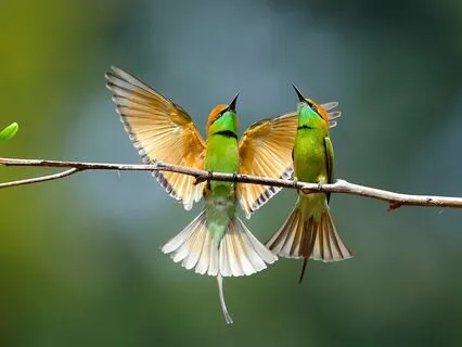 Yoga Nidra For Deep Relaxation And Stress Relief